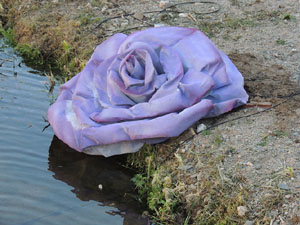 Temps de Flors 2015. La preparaci&oacute;