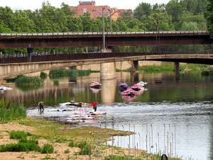 Temps de Flors 2015. La preparaci&oacute;