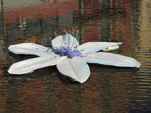 Temps de Flors 2015. La preparaci&oacute;