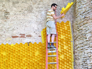 Temps de Flors 2015. La preparaci&oacute;