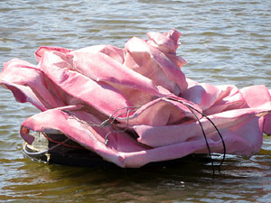 Temps de Flors 2015. La preparaci&oacute;
