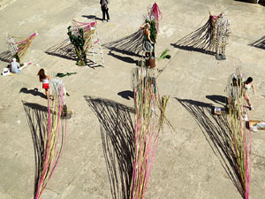 Temps de Flors 2015. La preparaci&oacute;