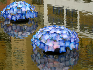 Temps de Flors 2015. La preparaci&oacute;