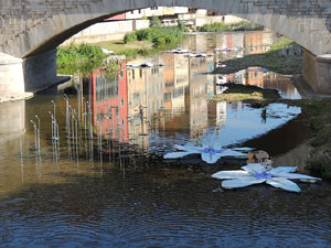Temps de Flors 2015. La preparaci&oacute;