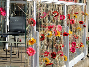 Temps de Flors 2015. La preparaci&oacute;