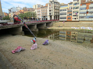 Temps de Flors 2015. La preparaci&oacute;