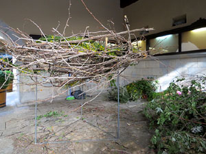 Temps de Flors 2015. La preparaci&oacute;