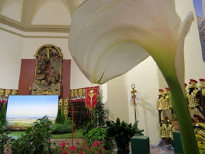 Temps de Flors 2015. La preparaci&oacute;