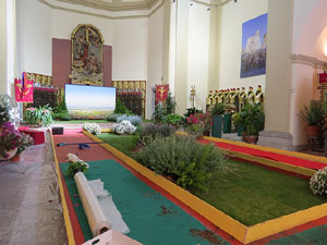 Temps de Flors 2015. La preparaci&oacute;