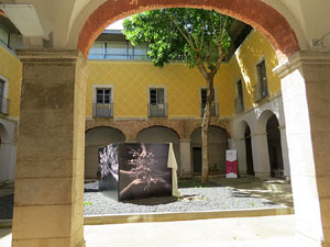 Temps de Flors 2015. Esgl&eacute;sia dels Dolors i Centre Cultural La Merc&egrave;