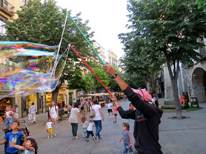 Temps de Flors 2015. Imatges diverses de l'esdeveniment
