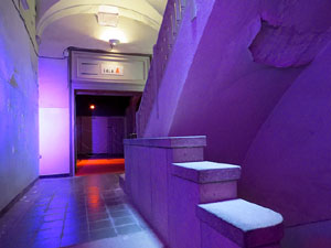 Temps de Flors 2015. Antic Cinema Modern