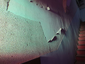 Temps de Flors 2015. Antic Cinema Modern