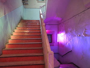 Temps de Flors 2015. Antic Cinema Modern