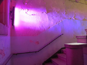 Temps de Flors 2015. Antic Cinema Modern