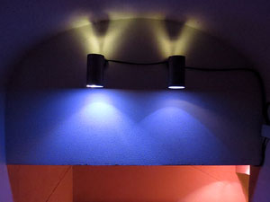 Temps de Flors 2015. Antic Cinema Modern