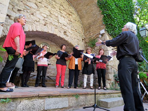 Temps de Flors 2015. Música i Flors. Actuacions musicals a diversos espais