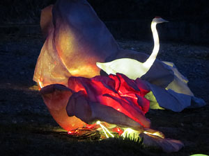 Temps de Flors 2015. El riu Onyar