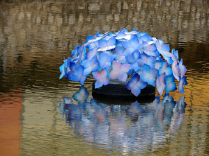 Temps de Flors 2015. El riu Onyar