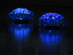 Temps de Flors 2015. El riu Onyar