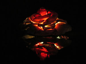 Temps de Flors 2015. El riu Onyar