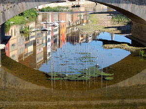 Temps de Flors 2015. El riu Onyar