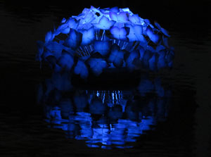 Temps de Flors 2015. El riu Onyar