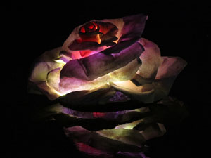 Temps de Flors 2015. El riu Onyar