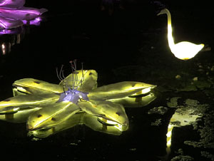 Temps de Flors 2015. El riu Onyar