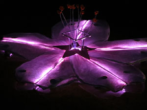 Temps de Flors 2015. El riu Onyar