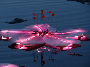 Temps de Flors 2015. El riu Onyar