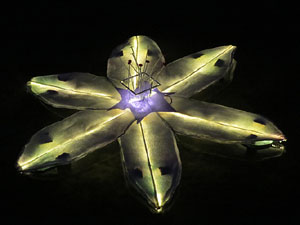 Temps de Flors 2015. El riu Onyar