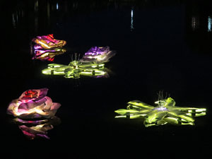 Temps de Flors 2015. El riu Onyar