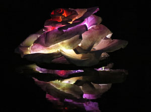 Temps de Flors 2015. El riu Onyar