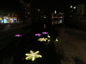 Temps de Flors 2015. El riu Onyar