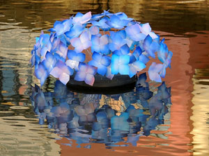 Temps de Flors 2015. El riu Onyar