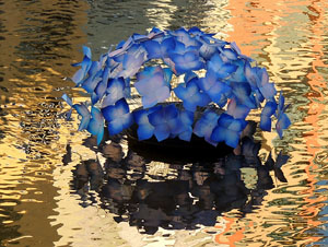 Temps de Flors 2015. El riu Onyar