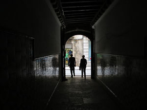 Temps de Flors 2015. Casa Audouard (Salieti)