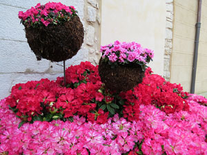 Temps de Flors 2015. Claustre del monestir de Sant Daniel