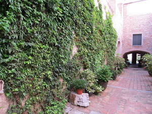 Temps de Flors 2015. Claustre del monestir de Sant Daniel