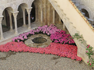 Temps de Flors 2015. Claustre del monestir de Sant Daniel