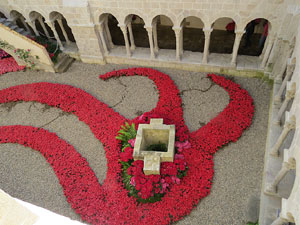 Temps de Flors 2015. Claustre del monestir de Sant Daniel