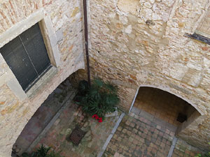 Temps de Flors 2015. Claustre del monestir de Sant Daniel