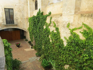 Temps de Flors 2015. Claustre del monestir de Sant Daniel