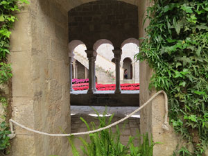 Temps de Flors 2015. Claustre del monestir de Sant Daniel