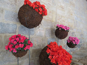 Temps de Flors 2015. Claustre del monestir de Sant Daniel