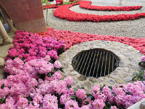 Temps de Flors 2015. Claustre del monestir de Sant Daniel