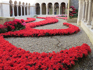 Temps de Flors 2015. Claustre del monestir de Sant Daniel