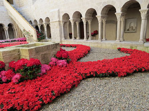 Temps de Flors 2015. Claustre del monestir de Sant Daniel
