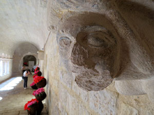 Temps de Flors 2015. Claustre del monestir de Sant Daniel